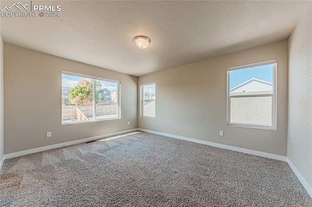 carpeted spare room with a textured ceiling and plenty of natural light