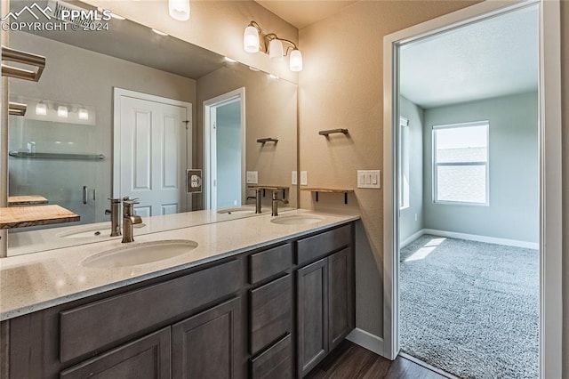 bathroom with hardwood / wood-style flooring and vanity