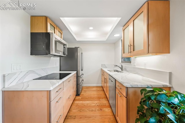 kitchen featuring light hardwood / wood-style floors, stainless steel appliances, light stone counters, a tray ceiling, and sink