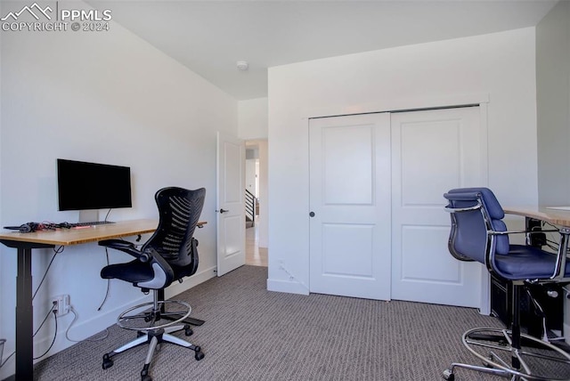 view of carpeted office space