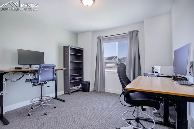 office area with light colored carpet