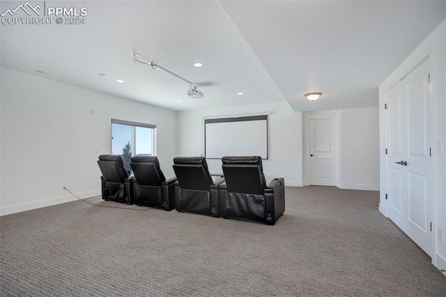 view of carpeted home theater room