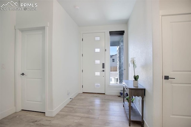 foyer featuring light wood-type flooring