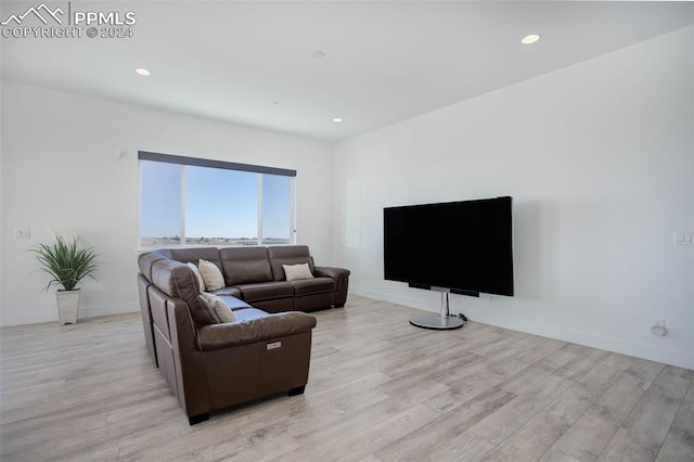 living room with light wood-type flooring