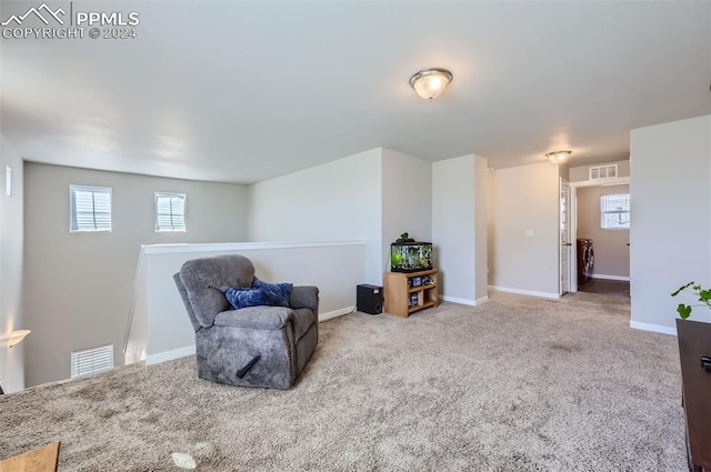 sitting room featuring carpet floors and plenty of natural light