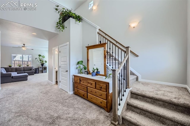 staircase with a high ceiling, ceiling fan, and carpet flooring