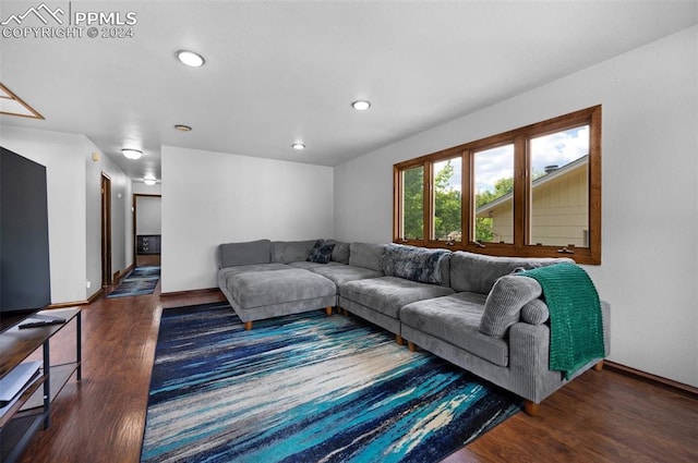 living room with dark hardwood / wood-style floors