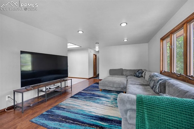 living room featuring wood-type flooring