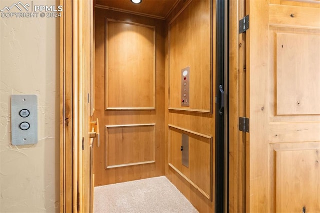 interior details with elevator and carpet