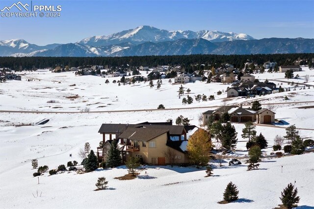 19155 Lochmere Ct, Monument, CO 80132 - view of mountain backdrop