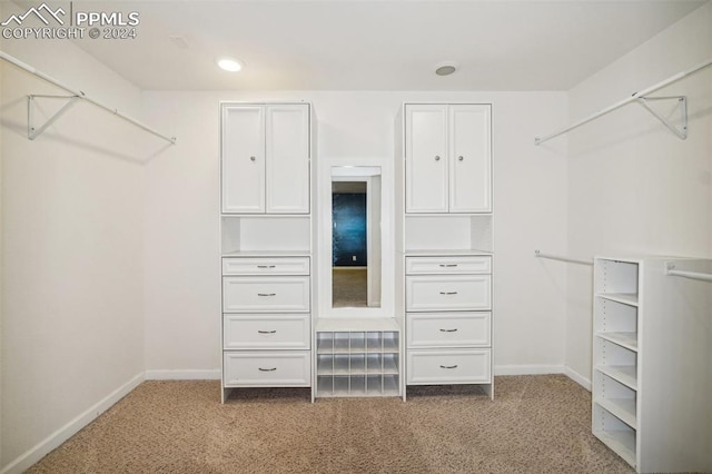 spacious closet with carpet