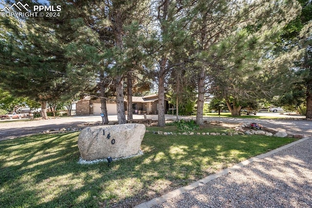 view of property hidden behind natural elements with a front yard