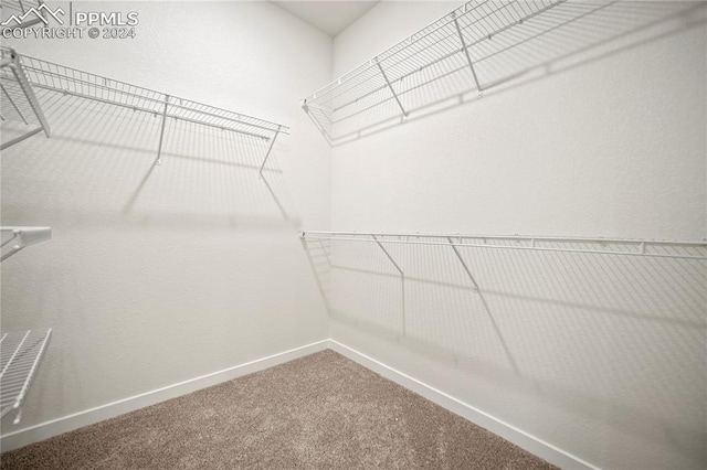 walk in closet featuring carpet flooring