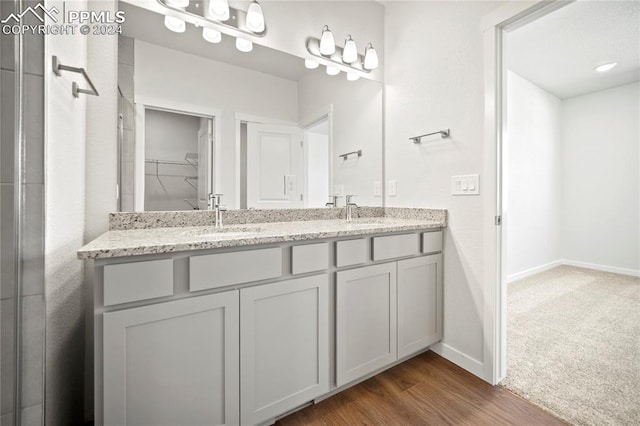 bathroom with wood-type flooring and vanity