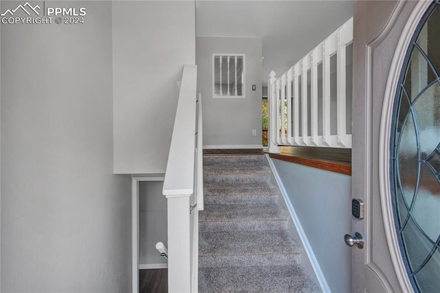 staircase with carpet flooring