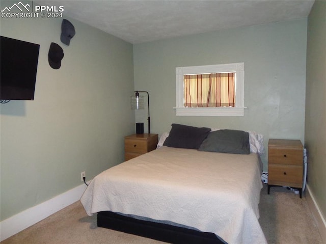 bedroom featuring carpet