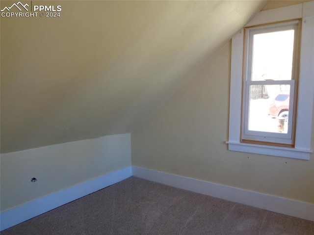 additional living space with carpet flooring and vaulted ceiling