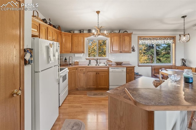 kitchen with hanging light fixtures, white appliances, an inviting chandelier, light hardwood / wood-style flooring, and sink