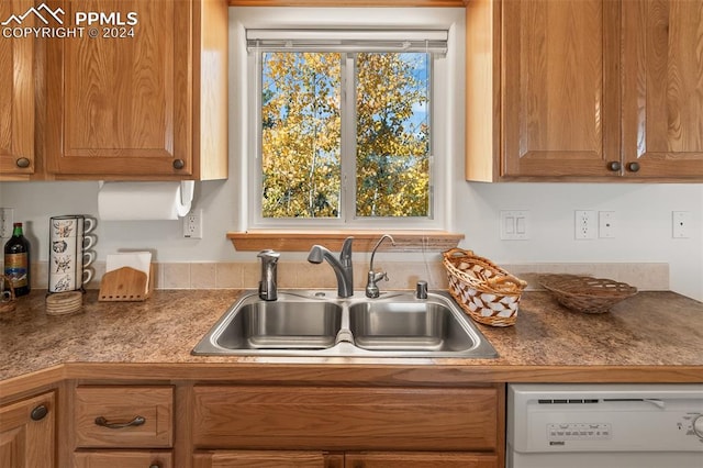 kitchen featuring dishwasher and sink