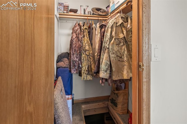 view of spacious closet