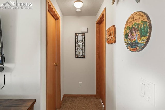 hall with carpet floors and a textured ceiling