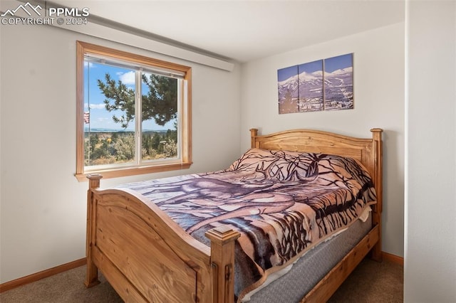 view of carpeted bedroom