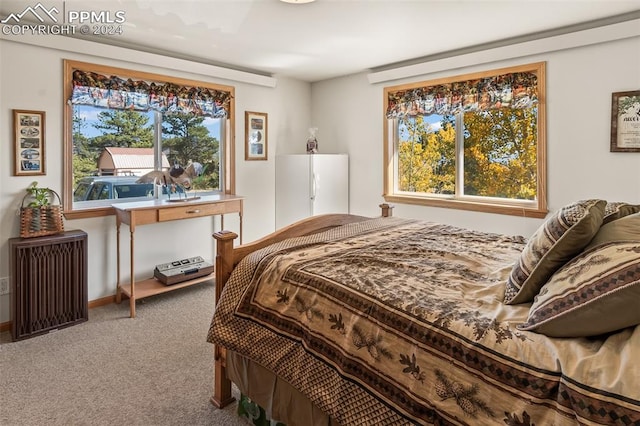 bedroom featuring carpet floors