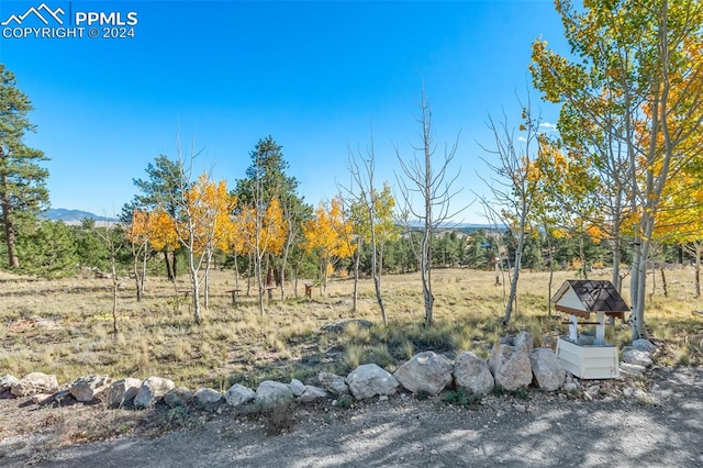 view of yard featuring a mountain view