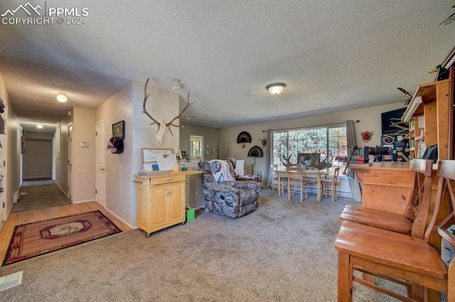 carpeted living room with a textured ceiling