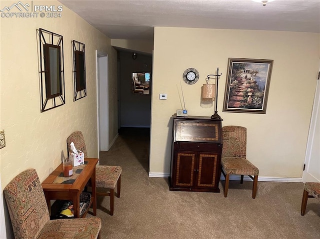 sitting room featuring carpet flooring