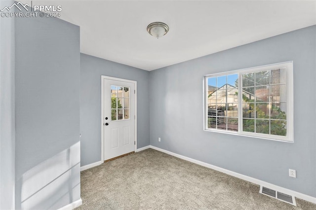 unfurnished room with carpet floors and a healthy amount of sunlight