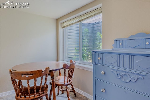 dining space with plenty of natural light