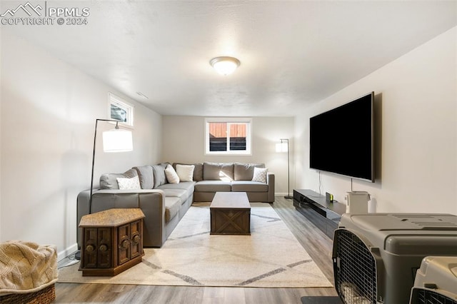 living room featuring light hardwood / wood-style floors