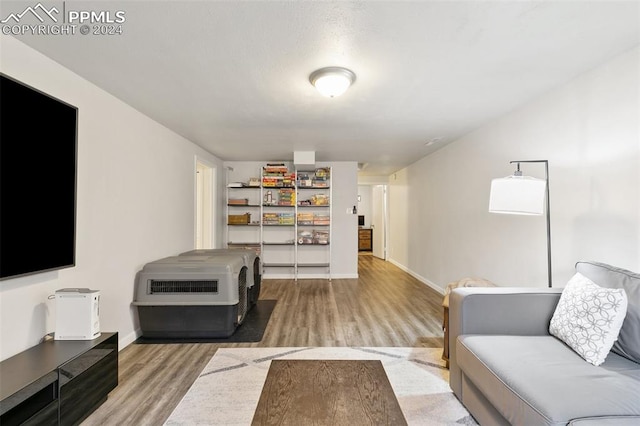 living room featuring hardwood / wood-style flooring