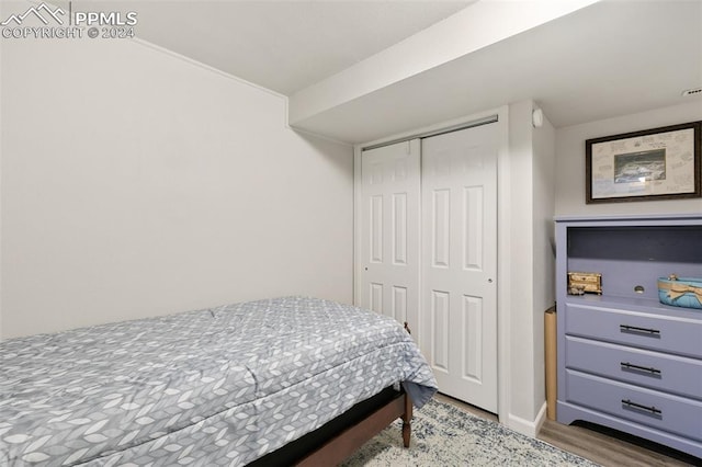 bedroom featuring hardwood / wood-style floors and a closet