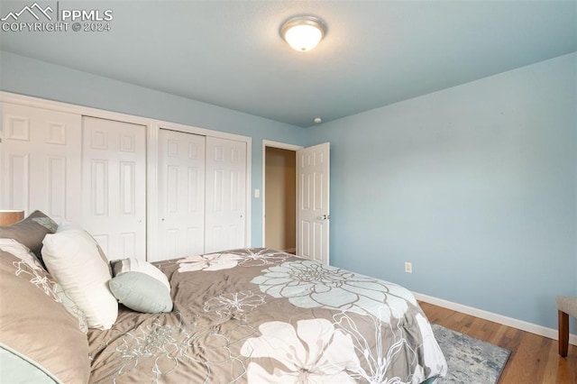 bedroom featuring wood-type flooring and multiple closets