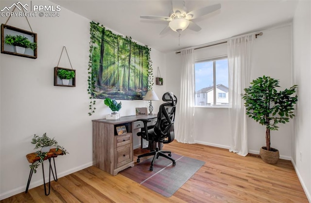 office space featuring light hardwood / wood-style flooring and ceiling fan