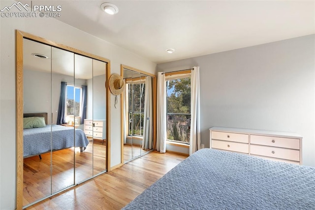 bedroom with two closets and light hardwood / wood-style floors