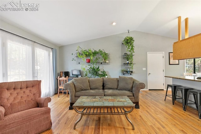 living room featuring a healthy amount of sunlight, vaulted ceiling, and light hardwood / wood-style flooring