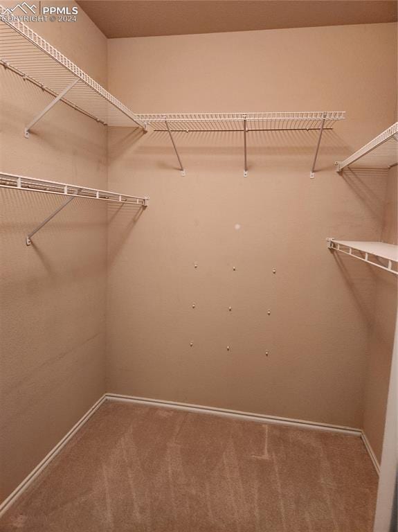 spacious closet with carpet floors