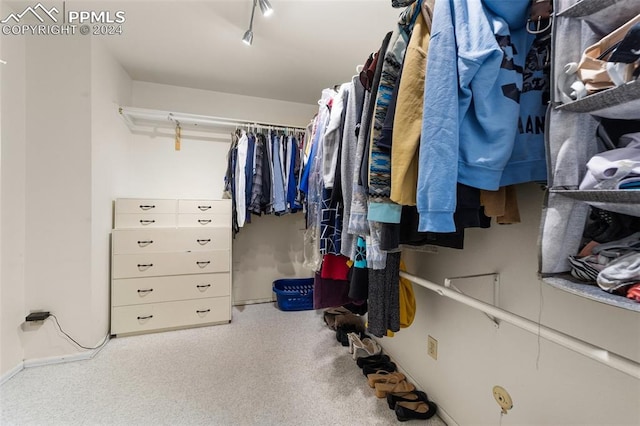 walk in closet with carpet floors