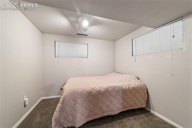 bedroom with carpet floors