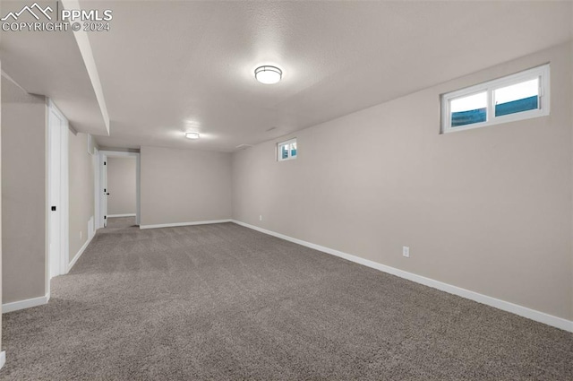 basement with carpet flooring and a wealth of natural light