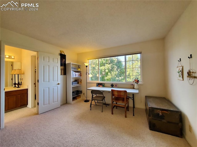 office space with light carpet