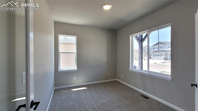 carpeted spare room with a wealth of natural light