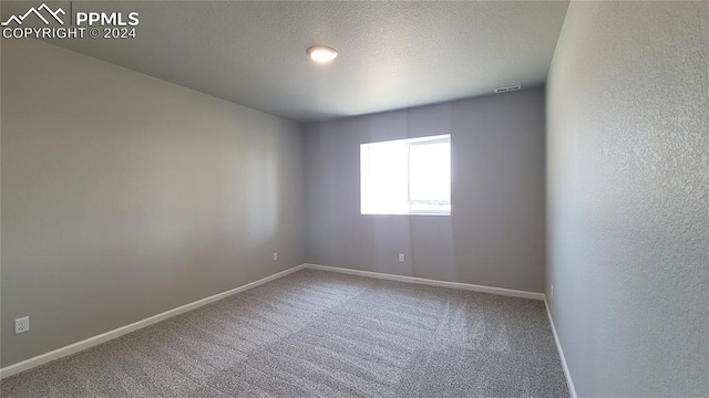 spare room with carpet floors and a textured ceiling