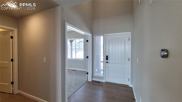 foyer featuring dark wood-type flooring