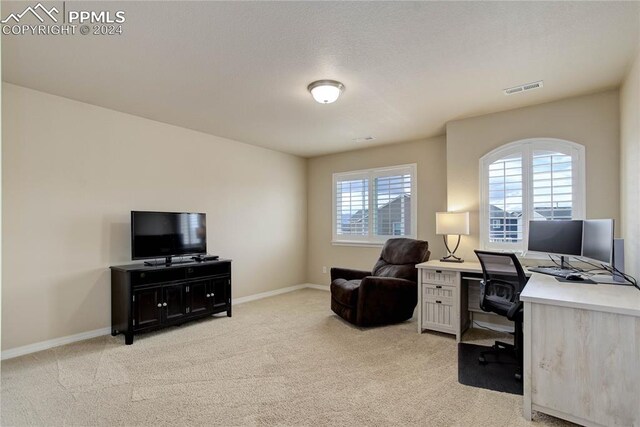 office area with light carpet and plenty of natural light