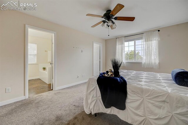 bedroom featuring ceiling fan, carpet flooring, and ensuite bathroom