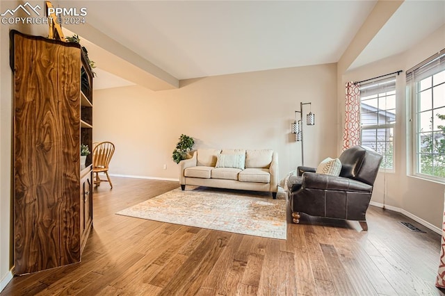 living room with hardwood / wood-style flooring